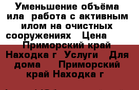 Уменьшение объёма ила, работа с активным илом на очистных сооружениях › Цена ­ 10 - Приморский край, Находка г. Услуги » Для дома   . Приморский край,Находка г.